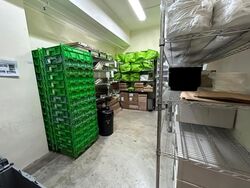 Vertex (D14), Factory #610500011